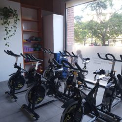 Cycle